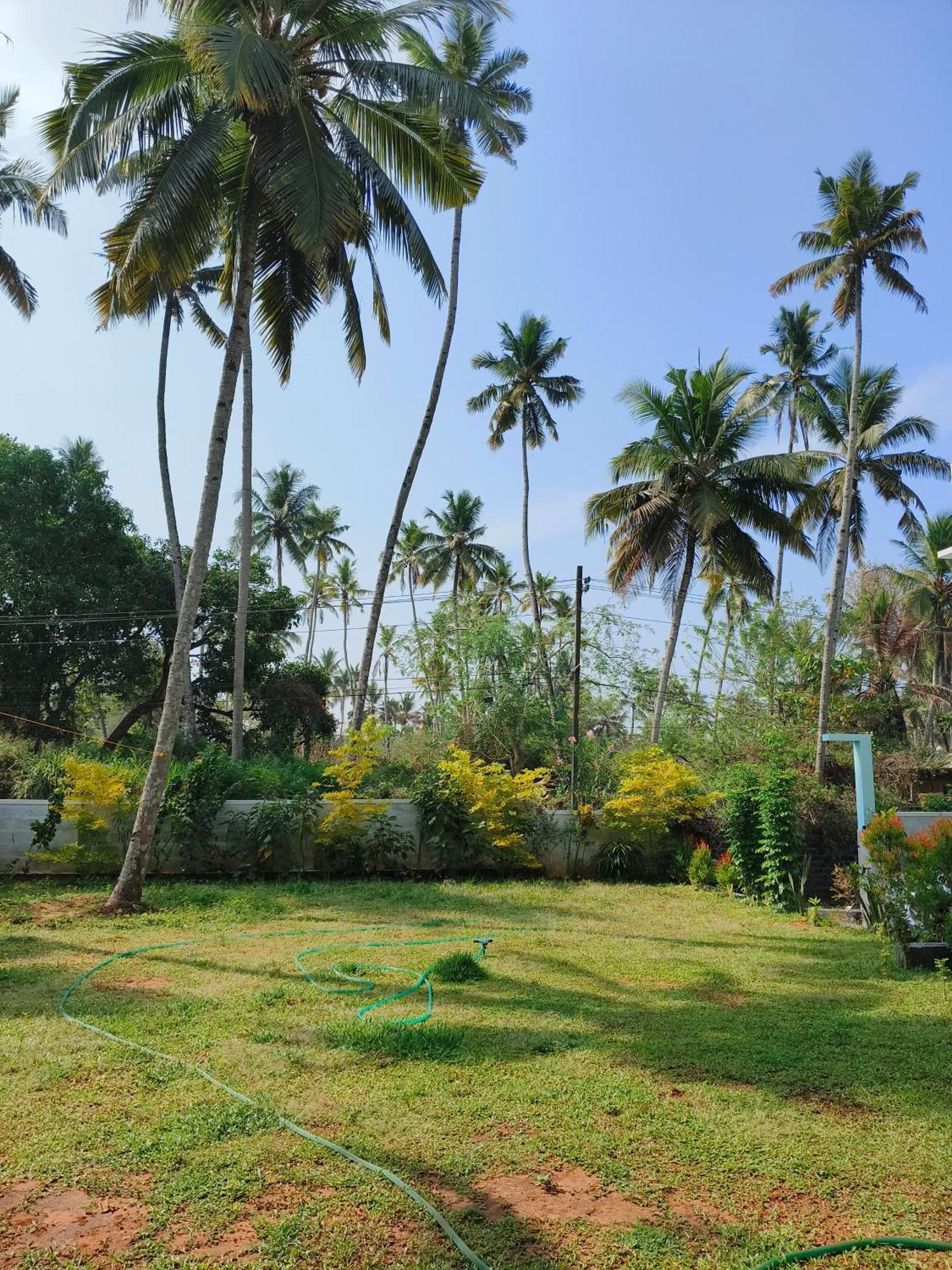 Popple Beach House Varkala Ngoại thất bức ảnh